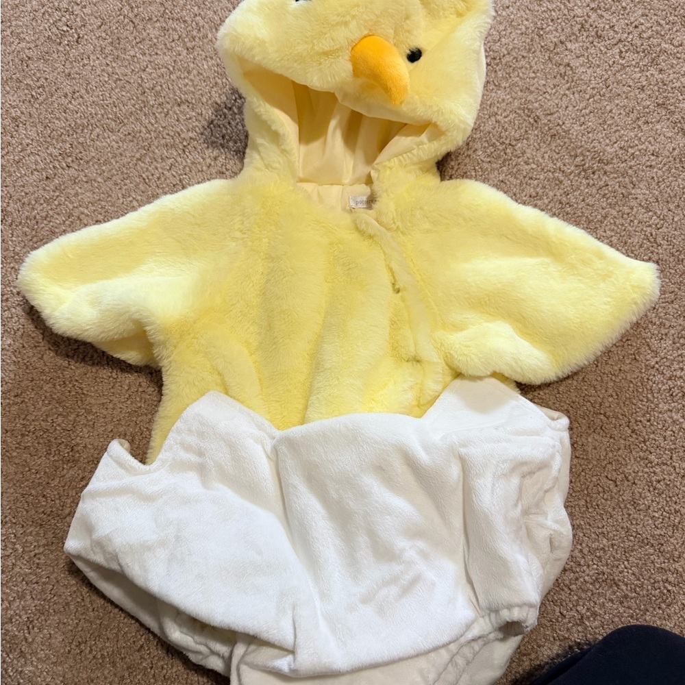 Pottery Barn Kids Chic Costume 12-24 months